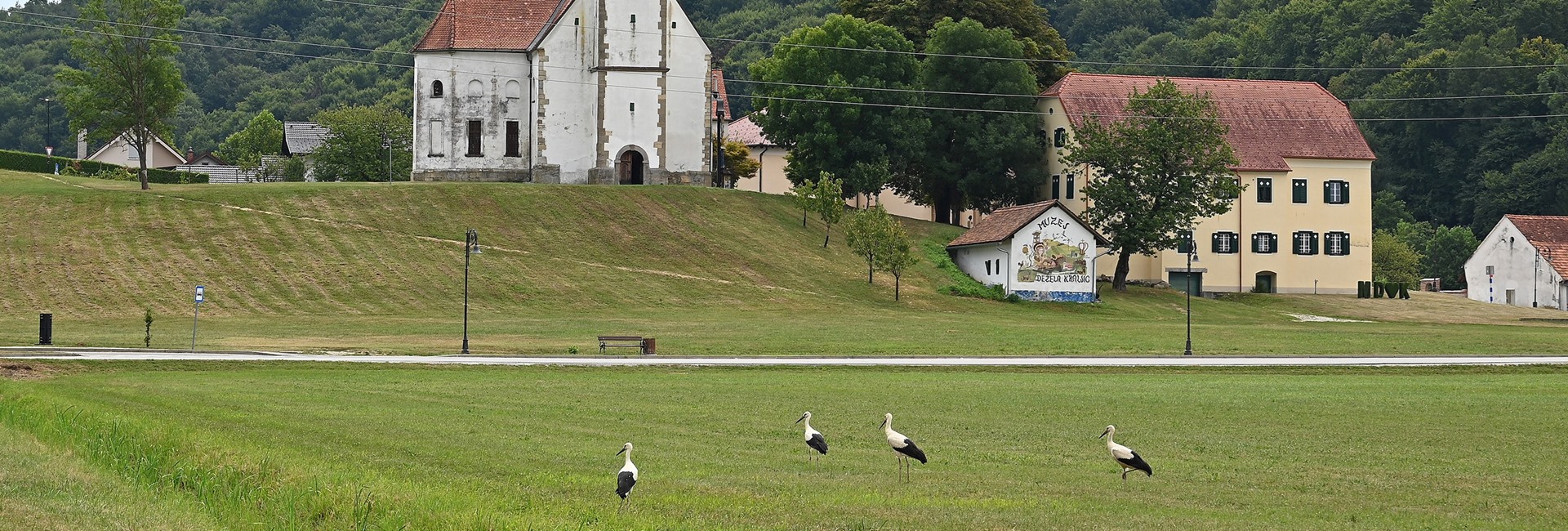 Štorklje
